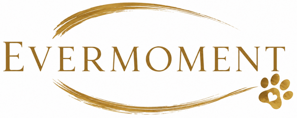 EverMoment